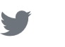 Twitter Icon