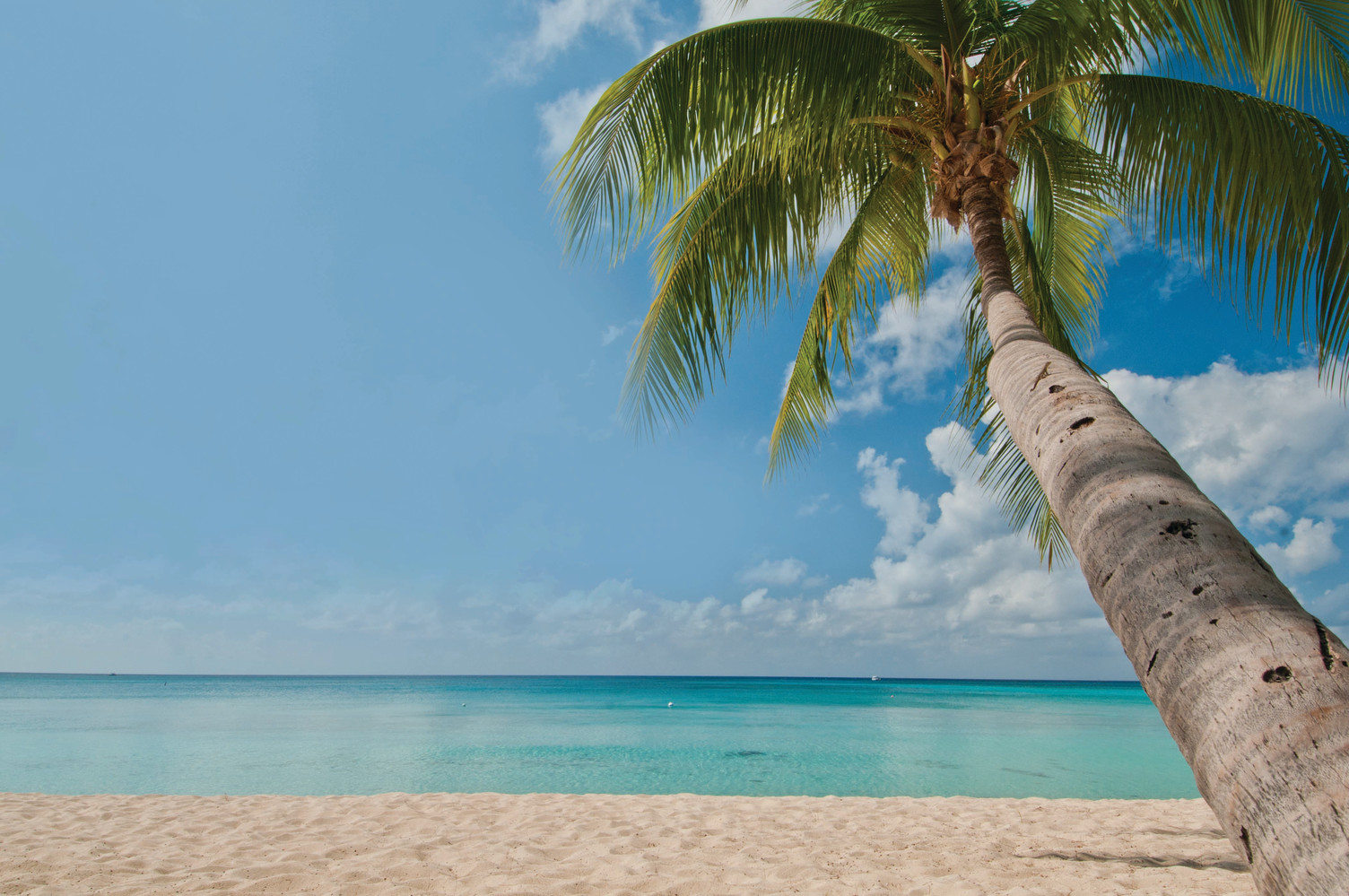Seven Mile Beach