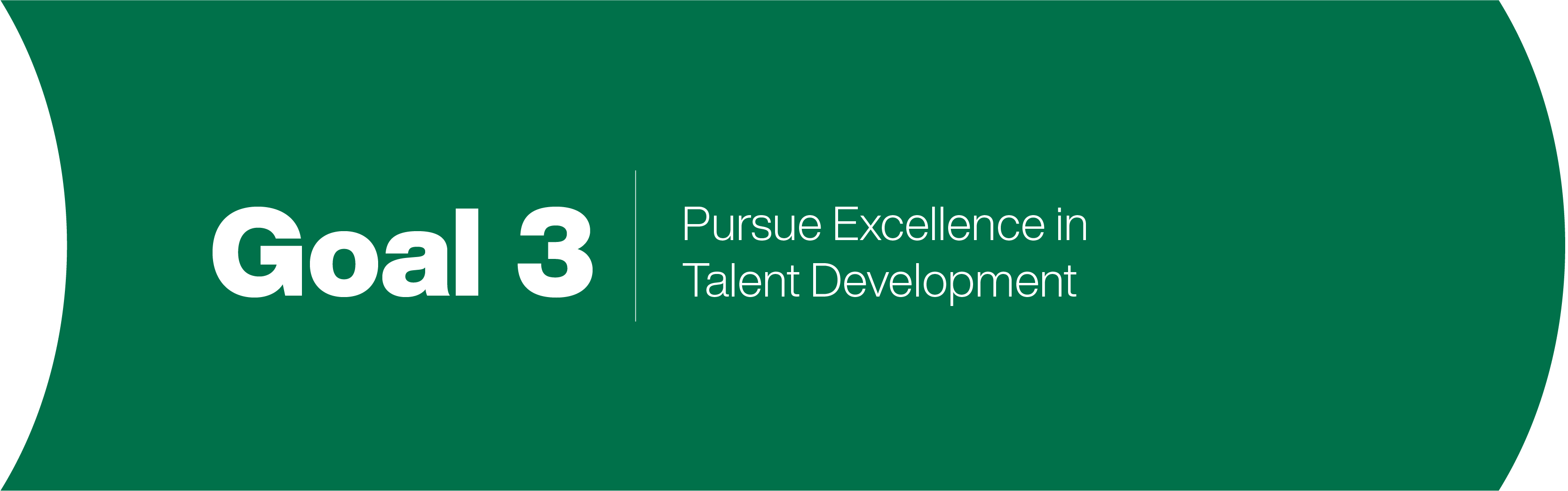 Goal 3 - Pursue Excellence in Talent Development