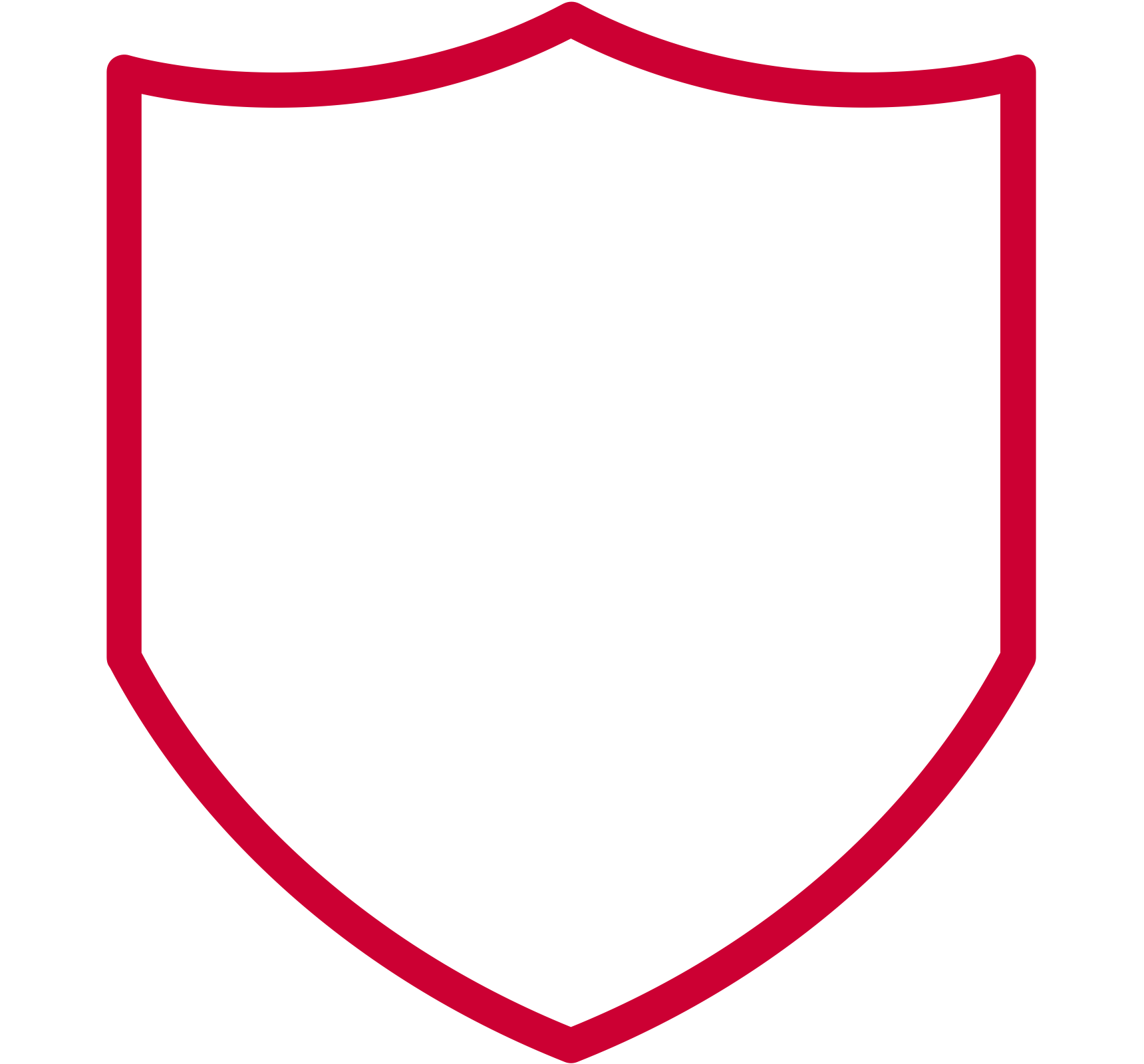 Shield Icon