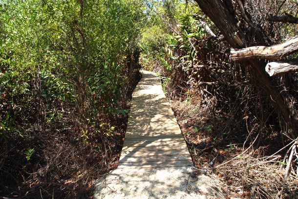 Nature path
