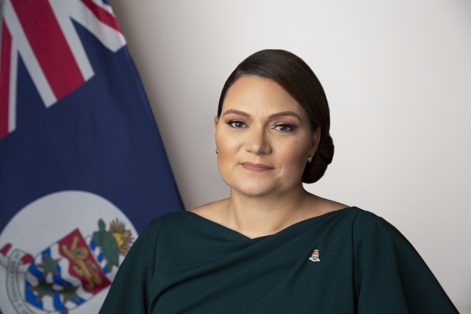 Hon. Dwayne S. Seymour,CCI, JP, MP