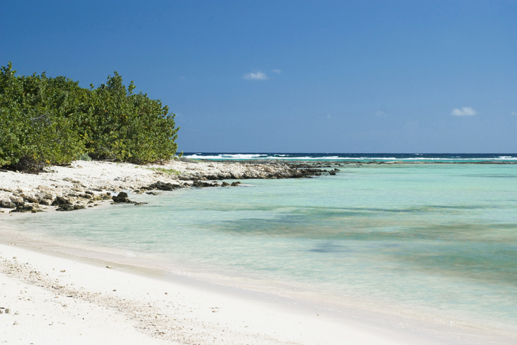 Owen Island