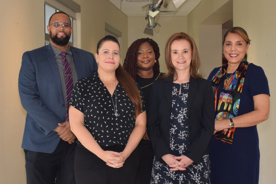 The Strategic Reforms Implementation Unit