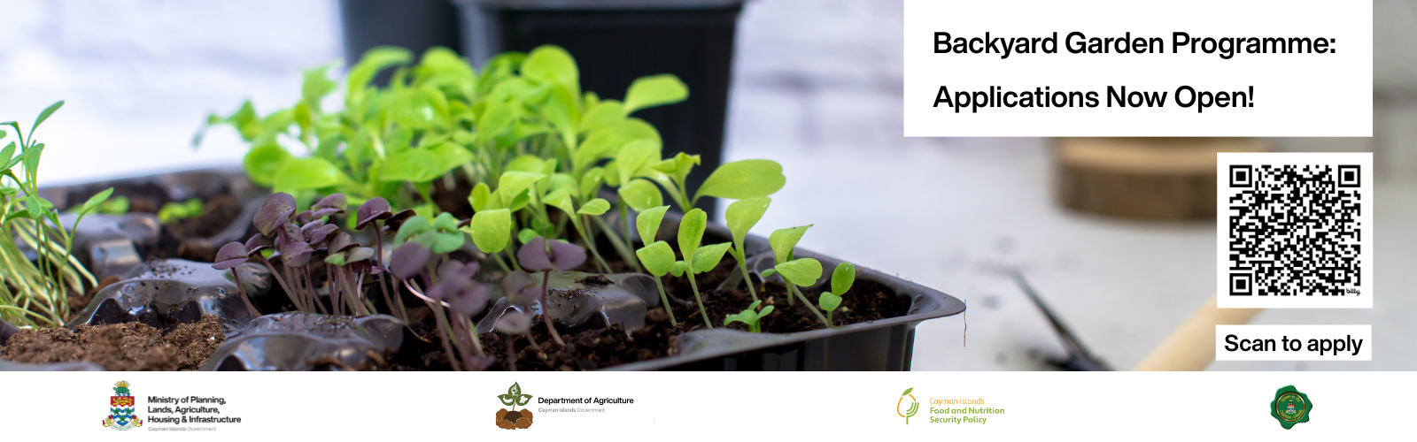Ministry of Planning, Lands, Agriculture, Housing, Infrastructure Backyard Garden Programme Announcement
