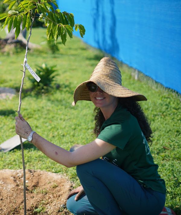 Planting a tree
