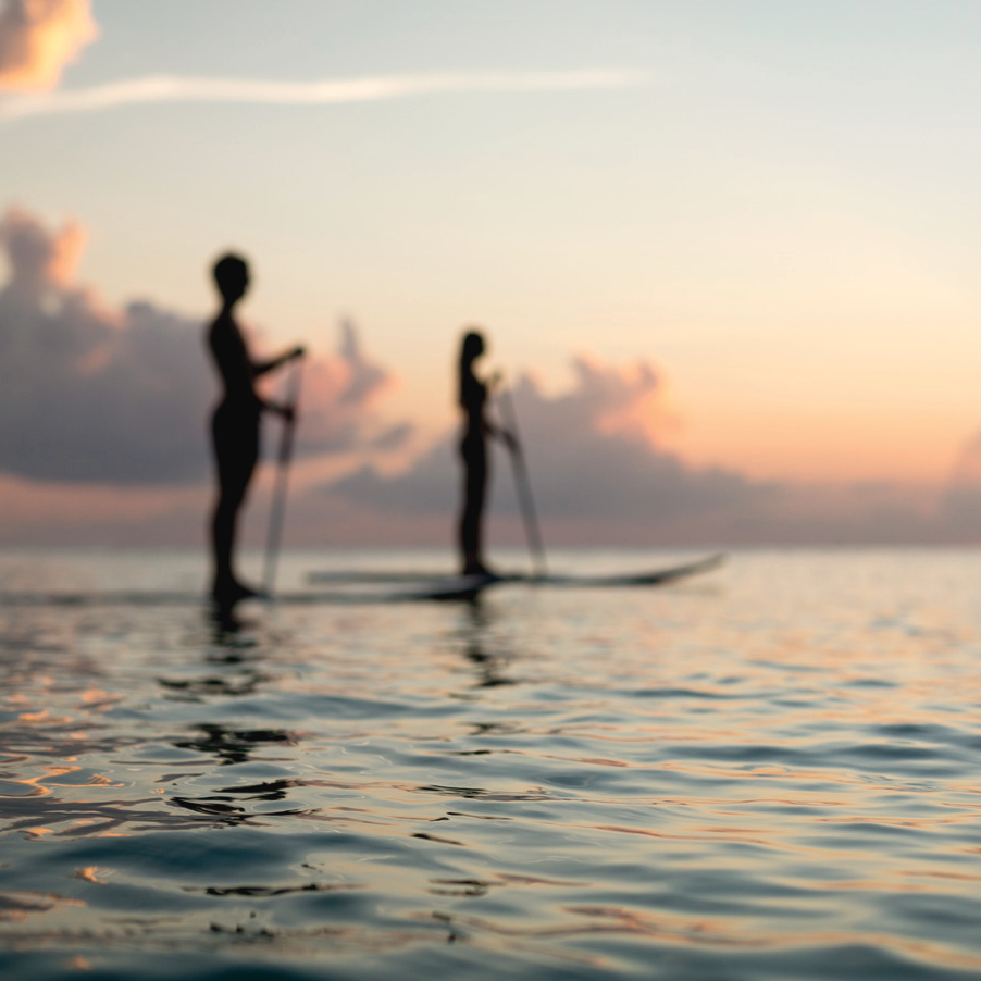 People paddleboarding