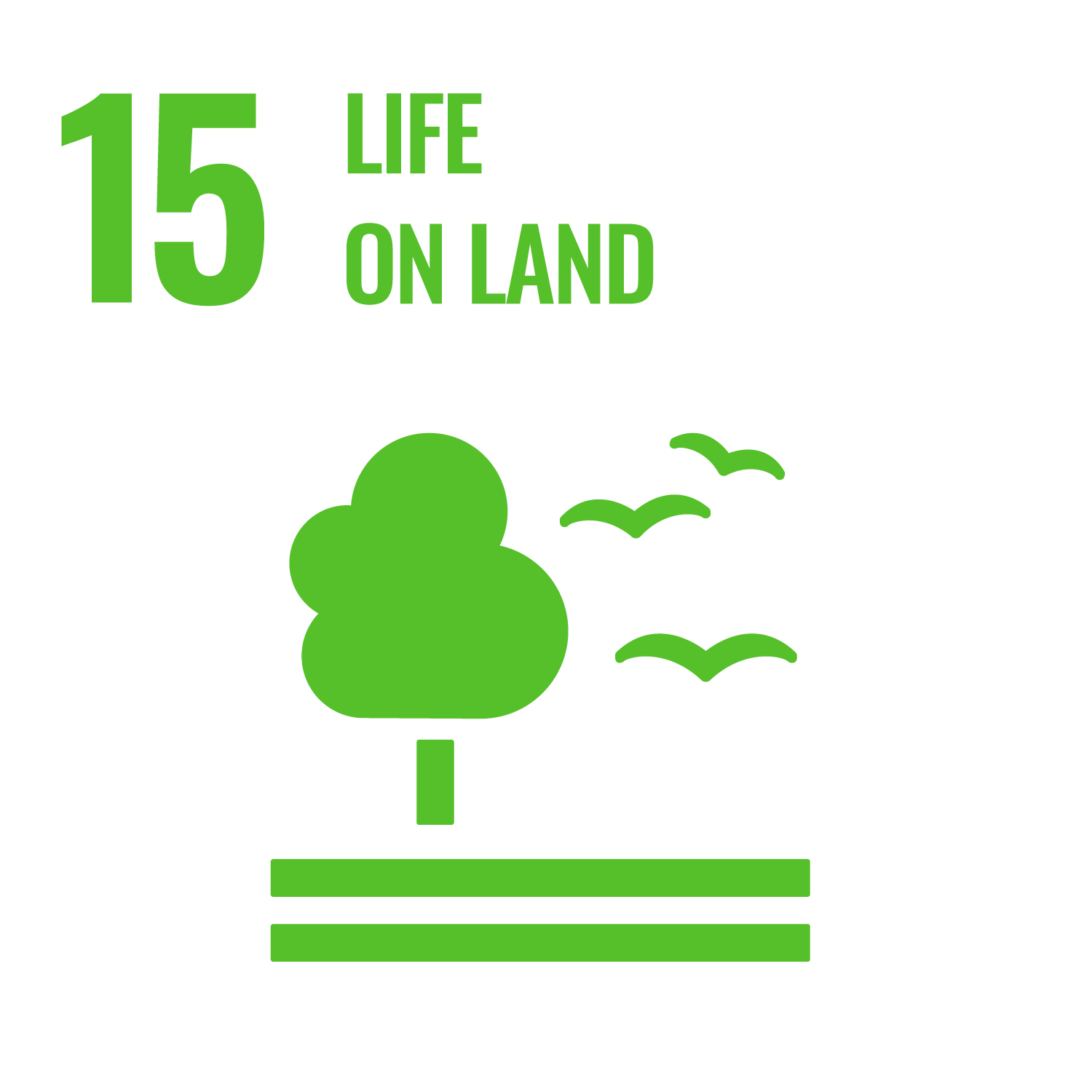 National Tree Planting - Life on Land image containing a tree, birds and two lines representing the ground. All elements of the national tree planting initiative led by the Cayman Islands Government under the ministry of sustainability climate resiliency and health.
