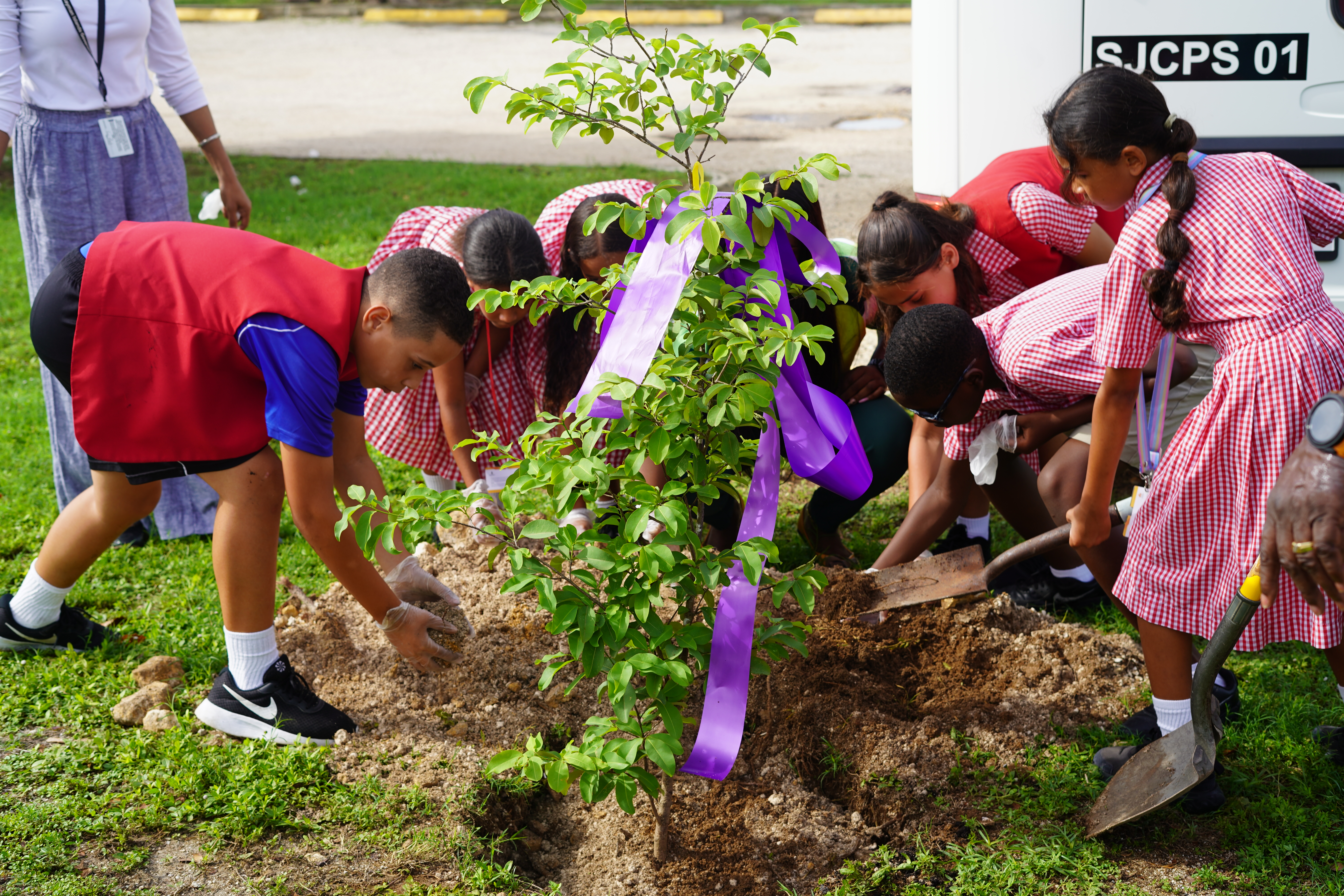 Students from Red Bay Primary School planting with supervision from the Ministry of Sustainability and climate resiliency and wellness